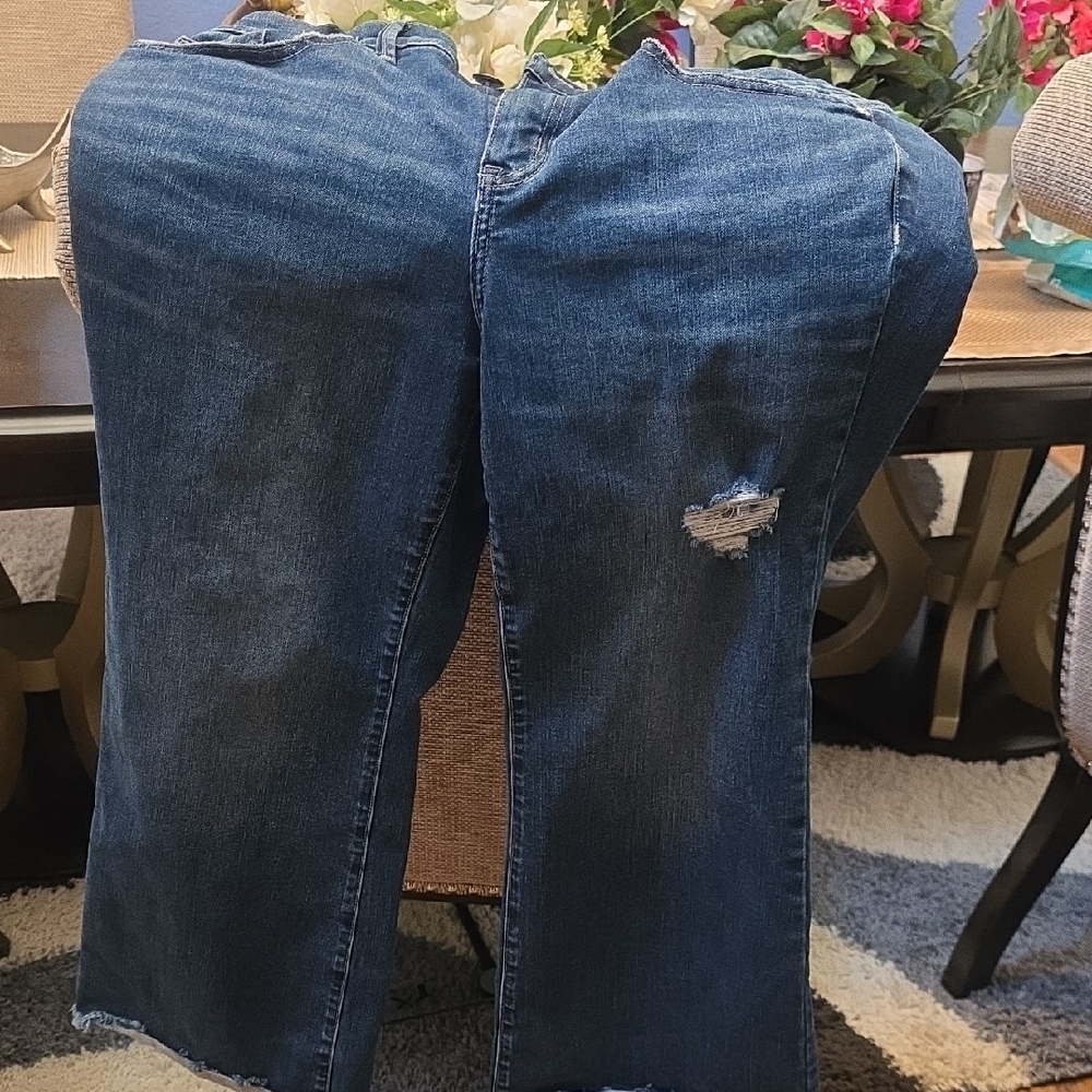 Lane Bryant Women's Dark Blue Straight Leg Jeans